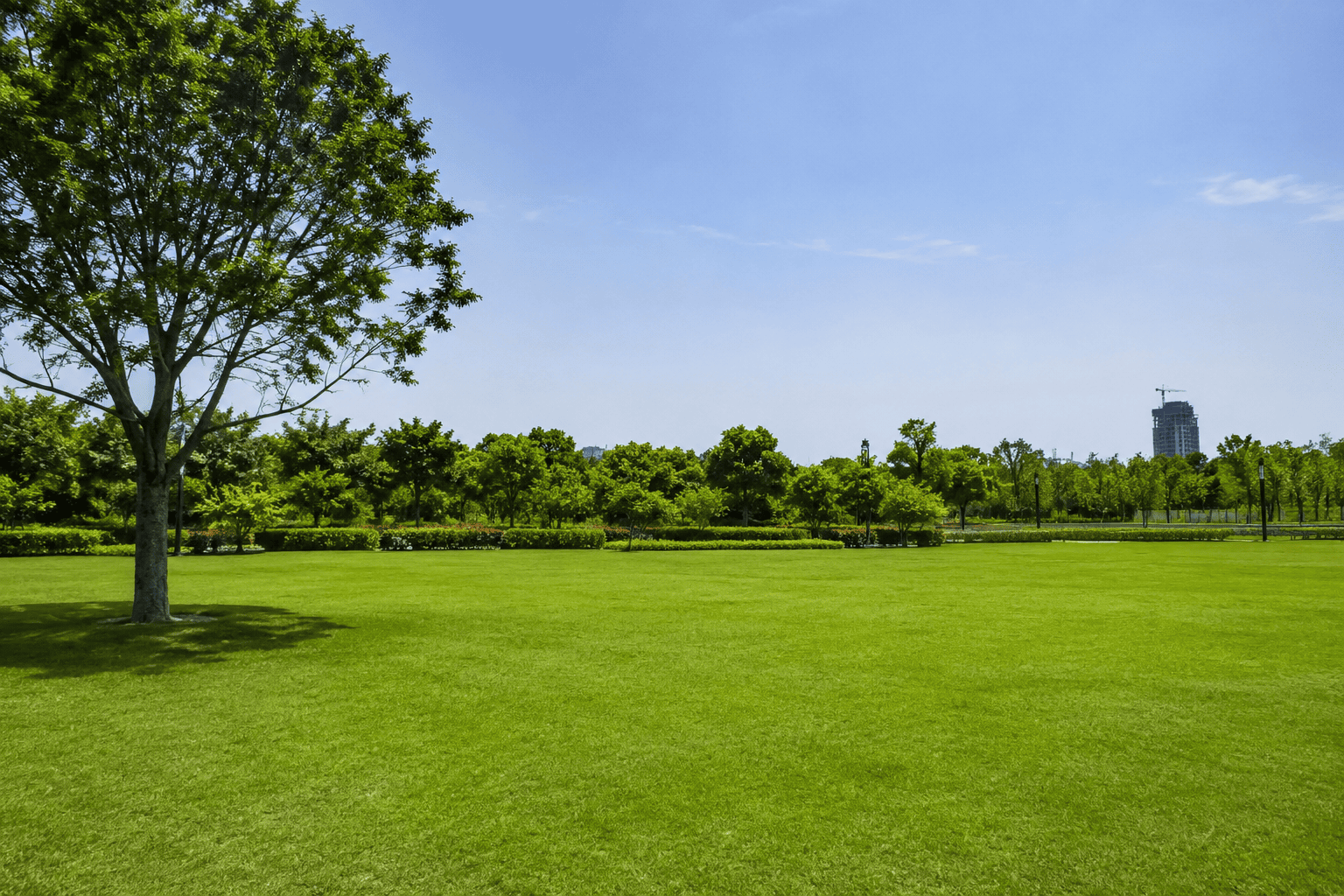open space
