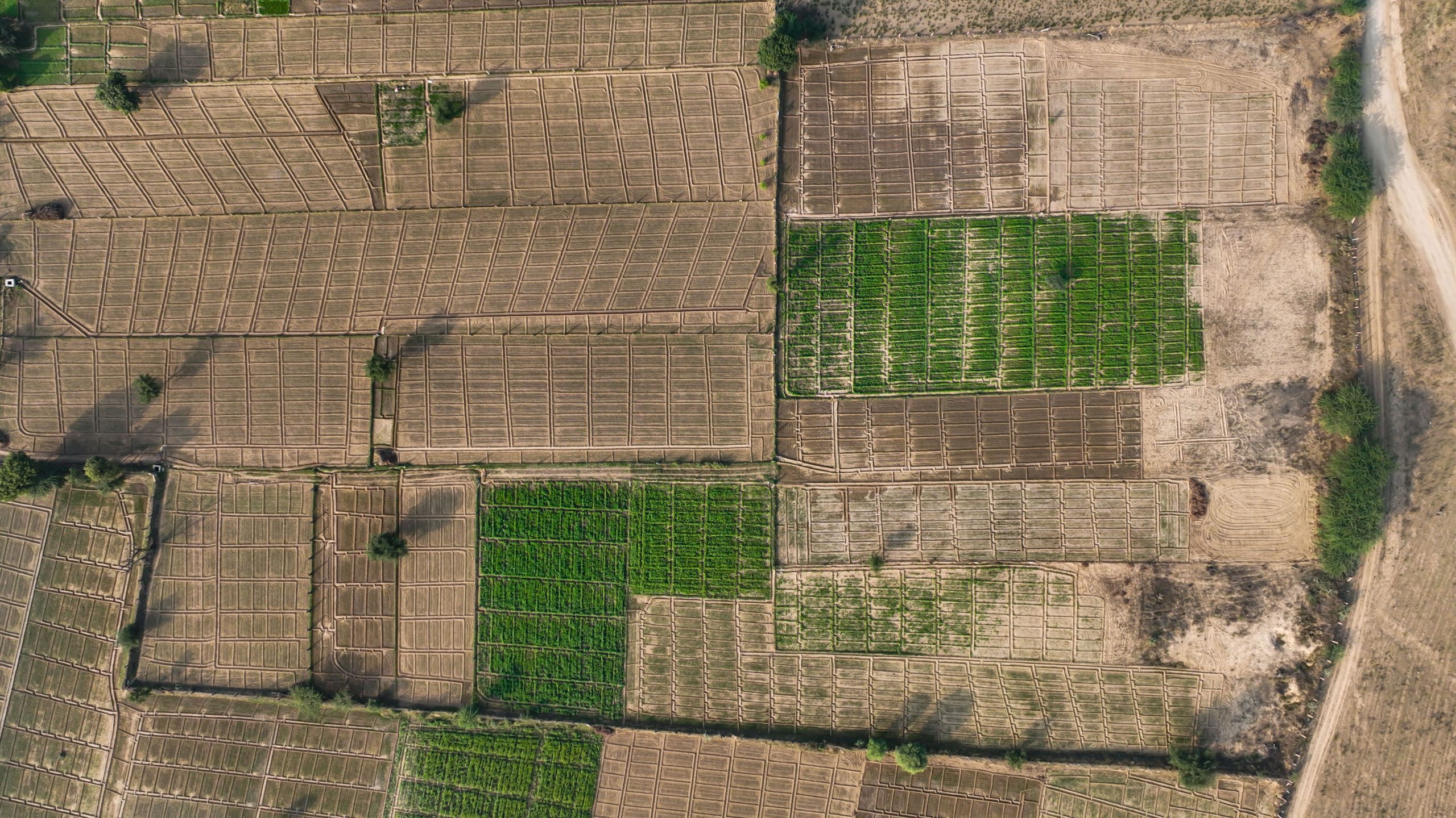 Aerial view showcasing intricate patterns of agricultural farmland with varied colors.