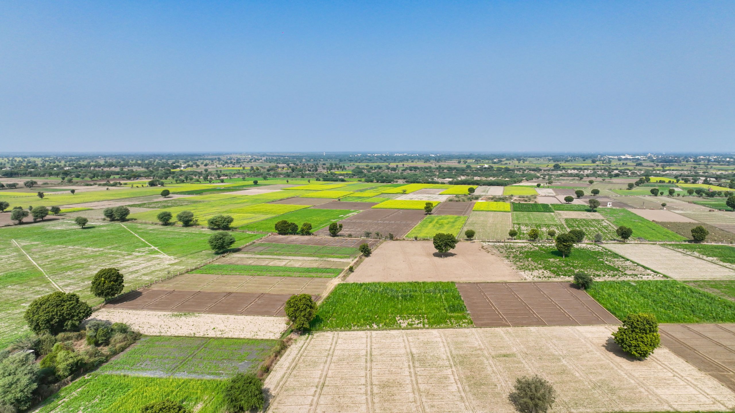 Vibrant aerial view of diverse farmland patchwork during summer, showcasing agricultural diversity.